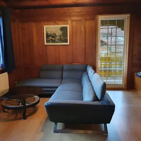 Apartment Traditional Swiss-flat