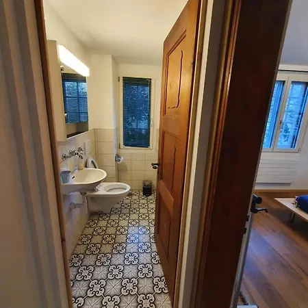 Traditional Swiss-flat Appartement