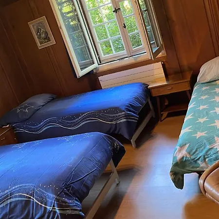 Appartement Traditional Swiss-flat