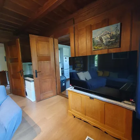 Traditional Swiss-flat Lägenhet *