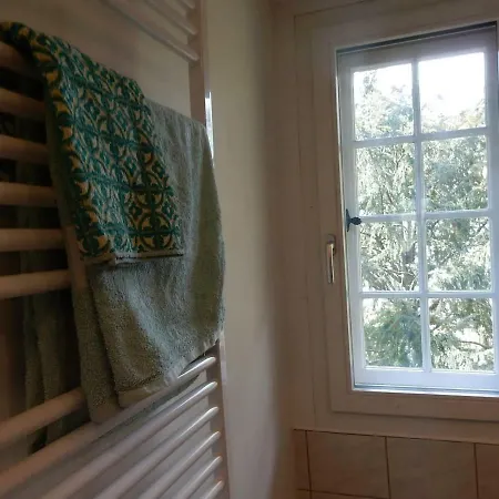 Traditional Swiss-flat Daire *