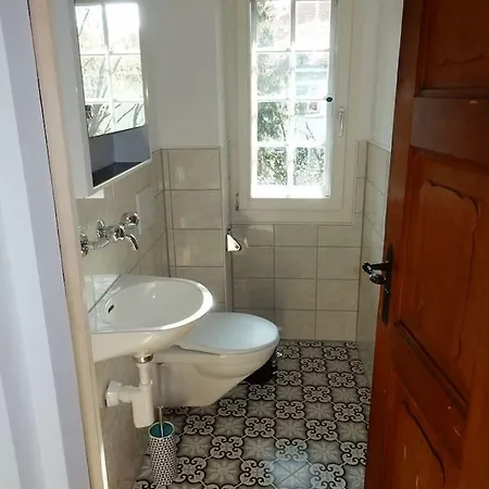 Traditional Swiss-flat إنترلاكن