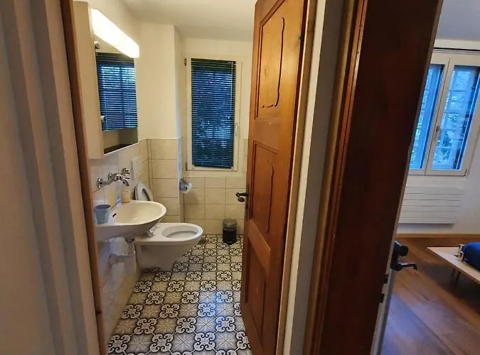 Traditional Swiss-flat דירה