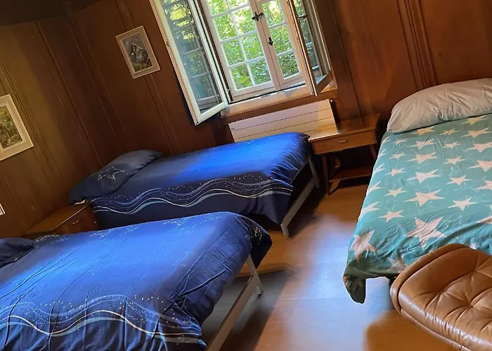 דירה Traditional Swiss-flat