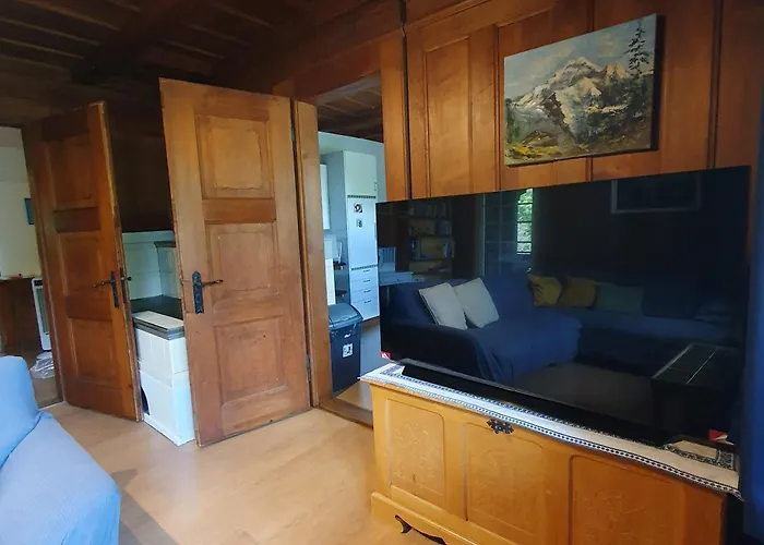 Traditional Swiss-flat Lägenhet *