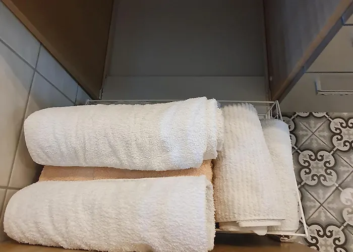 Traditional Swiss-flat דירה אינטרלאקן