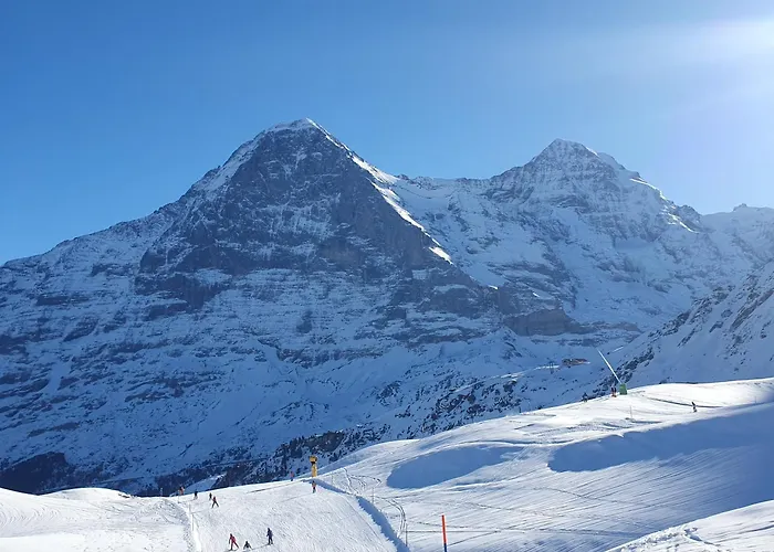 Traditional Swiss-flat * אינטרלאקן