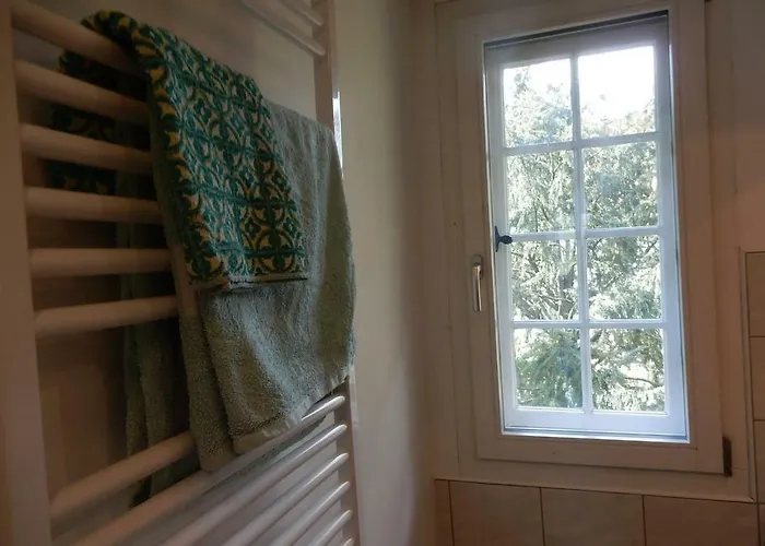 Traditional Swiss-flat דירה *