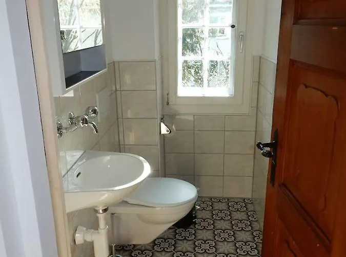 Traditional Swiss-flat אינטרלאקן