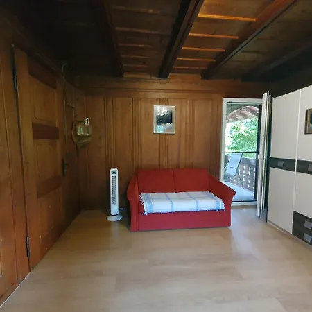 Apartment Traditional Swiss-flat