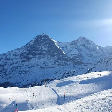 Traditional Swiss-flat * Interlaken